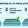 KIKI Kat Cat Litter Lavendel (5 l) - Image 2
